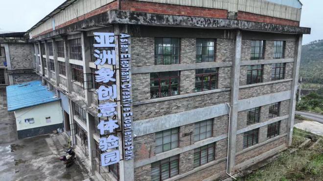 质高效使用衔接资金推进乡村振兴见闻录CQ9电子好雨知时节 ——云南省高(图2)