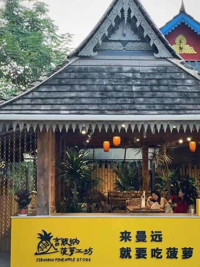 质高效使用衔接资金推进乡村振兴见闻录CQ9电子好雨知时节 ——云南省高(图7)