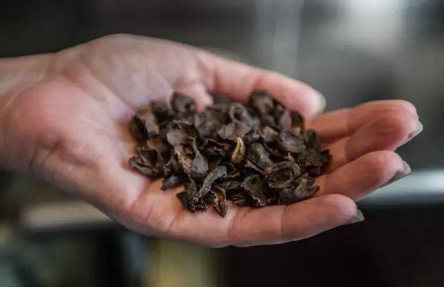 粉大变身成餐饮界新宠儿？CQ9电子app咖啡果(图8)